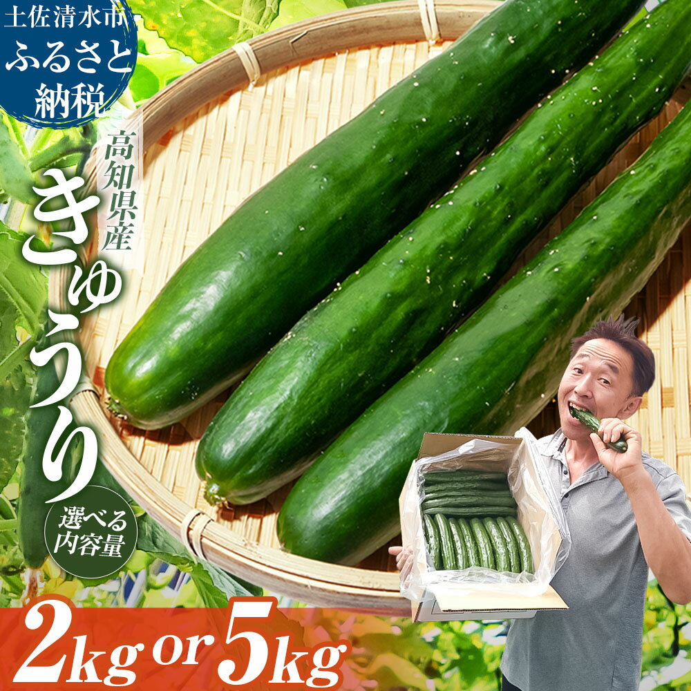【ふるさと納税】令和7年11月発送　きゅうり 選べる内容量 2kg 5kg 2キロ 5キロ キュウリ 野菜 新鮮 夏野菜 産地直送 サラダ 漬物 浅漬け ぬか漬け 酢の物 炒め物 健康 高知県 土佐清水市 故郷納税 返礼品 高知 送料無料【R01451】