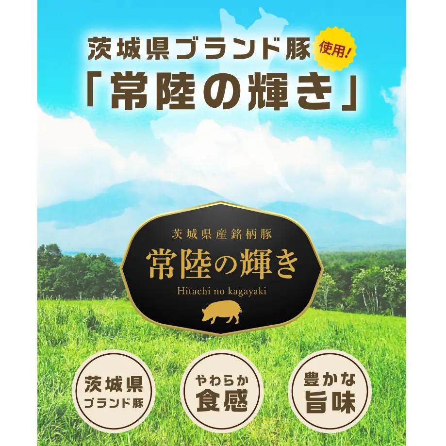 常陸の輝き バラエティ ブロック 7品 ( ハム ベーコン ソーセージ 焼豚 )【贈答用(熨斗対応可)】 国産豚 お取り寄せ グルメ 人気 冷蔵 詰め合わせ ギフト おかず ご当地グルメ ディナー 食