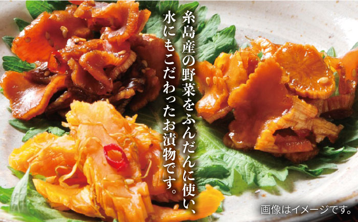 【全12回定期便】荒木さん家の こだわり 漬物 6種 詰め合わせ セット （みそ漬 / 漬刻み / 奈良漬 / 雷山漬 / 漬殿様 / 黄たかな漬）《糸島市》【荒木のつけもの】 [ACE004]