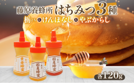 はちみつ 栃 けんぽなし やぶからし 3種セット 各120g 計360g 藤原黄金蜂蜜 藤原国産蜂蜜 食べ比べ 国産はちみつ 天然 無添加 とち 玄圃梨 ヤブカラシ 単花蜜 朝しぼり 完熟 ハチミツ パン 菓子 トースト ホットケーキ 朝食 岩手県 盛岡市 東北 岩手 盛岡 藤原養蜂場