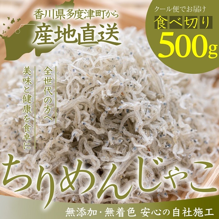 
                  瀬戸内香川県産 ちりめん 500g【令和8年準備でき次第発送！！】【L-64】
                