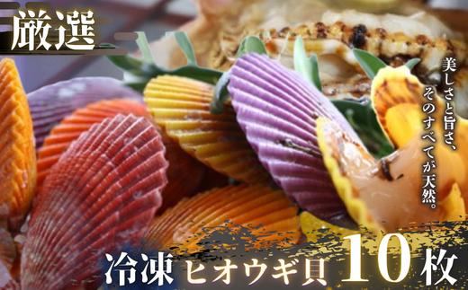 隠岐のヒオウギ貝 プロトン アウトドア キャンプ 海鮮BBQ 魚貝 生 貝殻付 活 貝柱 酒蒸し バーベキュー 海の幸 ホタテ 食卓に彩りを添える、まるで海の宝石