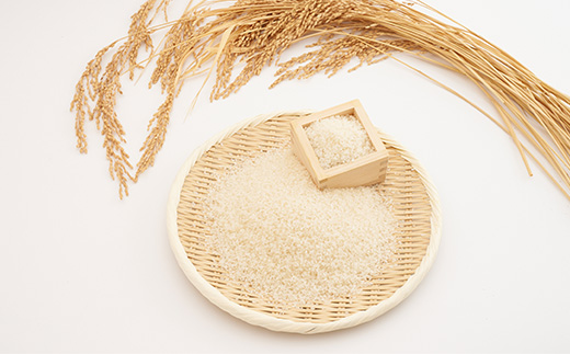令和6年産　たこまいらいふ萩原農場の多古米コシヒカリ(精米)5kg【配送不可地域：離島・沖縄県】【1438045】