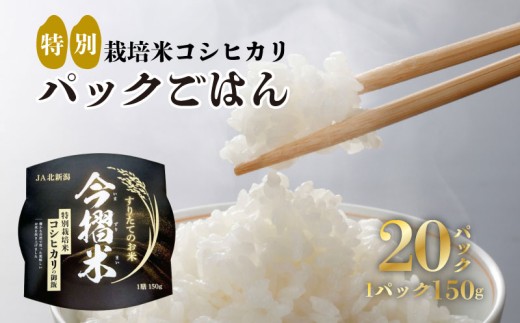 パックご飯 20個 JA北新潟 特別栽培米コシヒカリ 新潟 米 コシヒカリ 今摺米 パックご飯 ご飯パック レトルト 特別栽培米 セット 防災 非常食 常備 今ずり米 備蓄食 災害 150g 北新潟農業協同組合 新潟県 新発田市 JA010