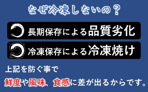 【父の日ギフト】うなぎうなぎ 蒲焼 3尾 炭火焼 無頭 炭火の香ばさ際立つ老舗 「うなぎの入船」熟成たれ付 国産 宮崎 蒲焼 鰻 宮崎 かば焼 鰻 ＜13-3a＞