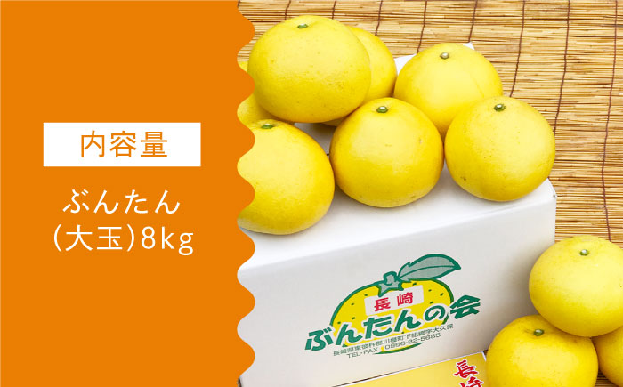 【数量限定】ぶんたん 大玉 約8kg【長崎ぶんたんの会 】[OAF001] / 完熟 贈答 ギフト ミカン 柑橘 果物  フルーツ 文旦 ブンタン かんきつ 柑橘類 カンキツ 蜜柑 みかん