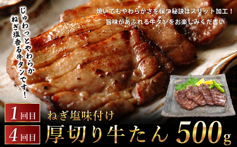G1721 桜文 お楽しみ 定期便 全6回（牛タン／焼鳥／黒毛和牛入り BIGハンバーグ）【毎月配送コース 個包装 人気 はんばーぐ 焼き鳥 牛たん 小分け 惣菜 冷凍 数量限定】
