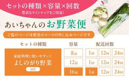 【16品】農薬に頼らない！カラダにやさしい「よしのがり野菜」セット（ラージ）吉野ヶ里町/吉野ヶ里あいちゃん農園 [FAA009]