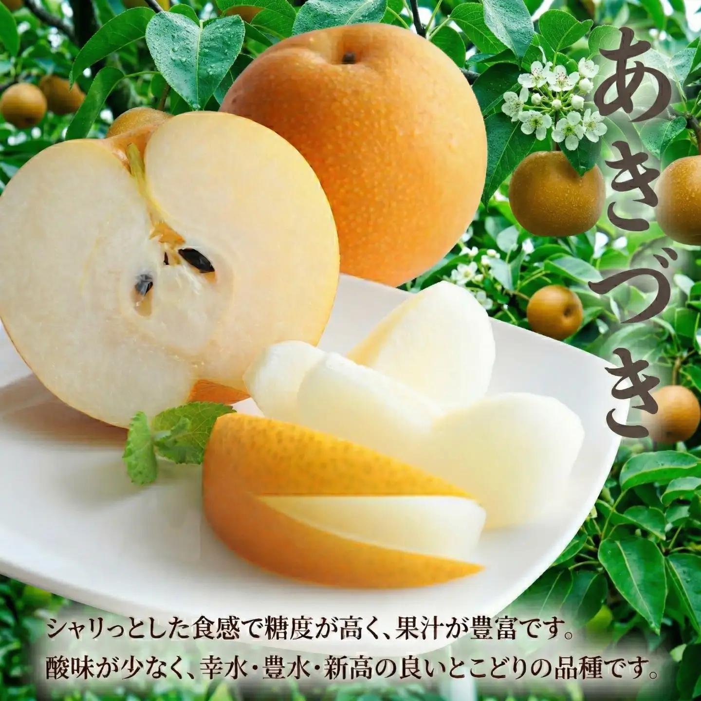 梨 あきづき 約 3kg （6～8玉）梨