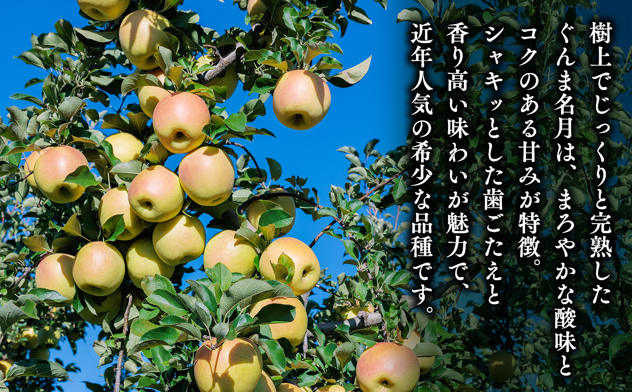 【令和7年産受付】贈答用 サンふじ/ぐんま名月 詰め合わせ約3ｋｇ【青森県平川市産・青森りんご】