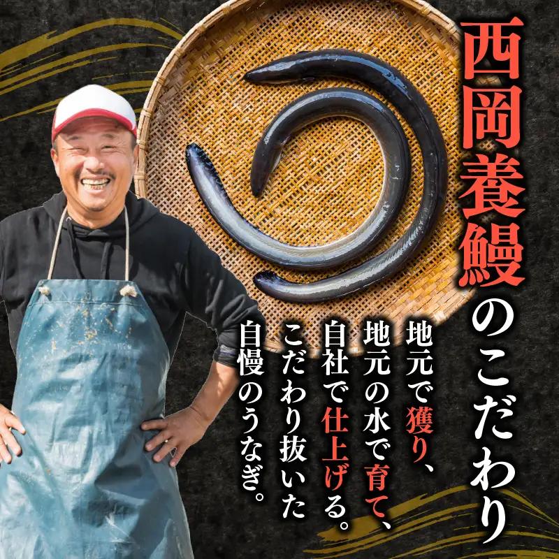 【うなぎ】 きざみうなぎ 1kg 国産 うなぎ蒲焼