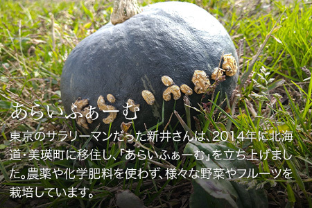 季節の野菜セット（小）＆にんにくマヨネーズ あらいふぁーむ
