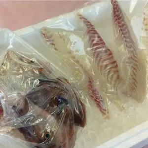 鯛 刺身 800g アラ 付 鯛