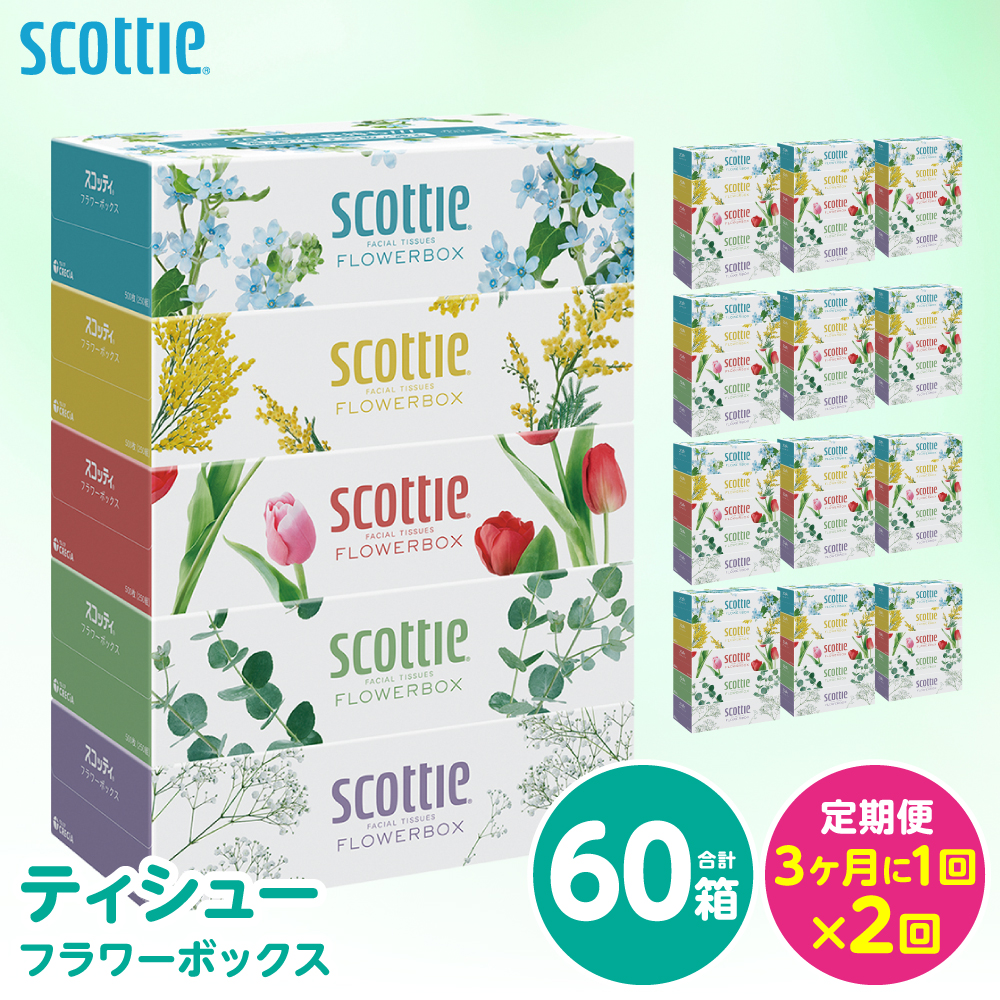 【定期便2回】【3ヶ月に1回お届け】【スコッティ】 ティシュー フラワーボックス 250組 60箱 計120箱 ティッシュ 日用品 生活必需品 消耗品 紙 まとめ買い ストック 備蓄 防災備蓄 新生活 防災 生活用品 日用消耗品 箱ティッシュ