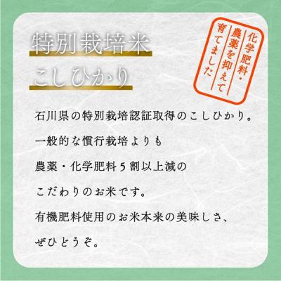 ふるさと納税 小松市 コシヒカリ 2kg 特別栽培米 令和7年産 こしひかり 精米 コメ お米 こめ 小松市 農家ふじた |  | 01