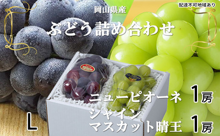 ぶどう 2026年 先行予約 ニュー ピオーネ 1房 約400g シャイン マスカット 晴王 1房 約400g 詰め合わせ 8月下旬～9月下旬発送 岡山県産 国産 フルーツ 果物 ギフト 岡山の葡萄 食べ比べ 