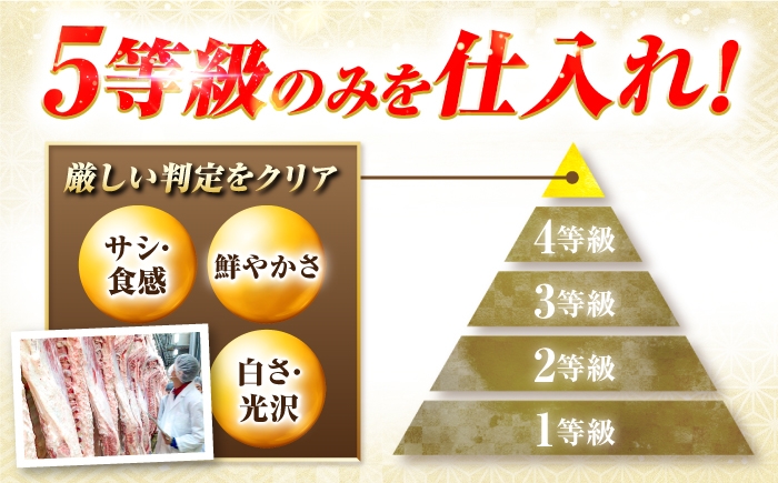 シャトー シャトーブリアン ステーキ 最高級 A5 和牛 ヒレ フィレ 希少部位 霜降り 高級肉 ヒレ肉 フィレ肉