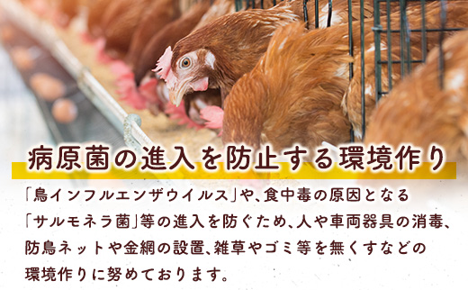 新鮮 たまご 30個×3か月 定期便 児湯の赤卵 小分け 3パック 卵 鶏卵 玉子 たまごかけご飯 お取り寄せ 小分け 生卵 濃厚 玉子（※2026年9月、10月、11月配送）【C464-091011