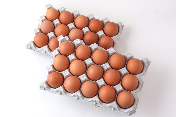 ＜7月中旬発送＞スズキのたまご 6か月定期便！ 地養卵50個（入金期限：2025.6.25） 7月中旬発送開始