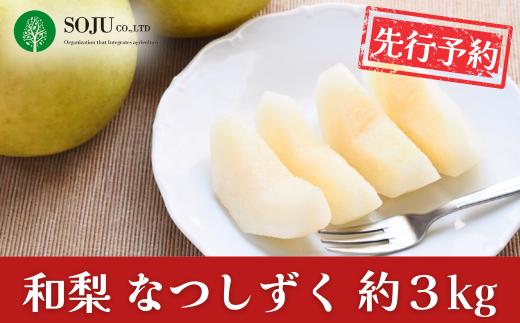 先行予約 和梨 なつしずく 約3kg 令和8年度 新潟県 三条市産 [三条果樹専門家集団]【016P036】