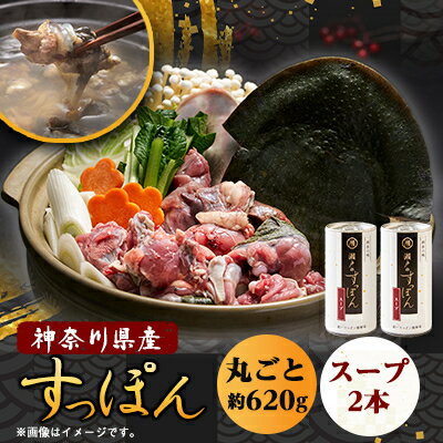 【ふるさと納税】神奈川産すっぽん鍋丸ごと1匹(620g)&スープ2本(各180g)セット【配送不可地域：離島】【1361077】