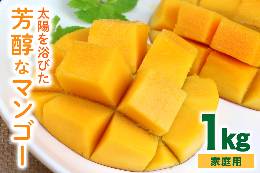 【 先行予約 2026年 発送】 沖縄の太陽を浴びた芳醇なマンゴー 1kg ( ご家庭用 ) 沖縄県産 マンゴー アップルマンゴー アーウィンマンゴー 国産 完熟マンゴー 果物 南国 くだもの フルーツ 完熟 夏 旬 沖縄 お取り寄せ 産地直送 農家直送 糸満市