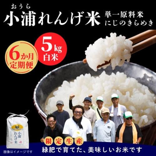 【毎月定期便】小浦れんげ米(にじのきらめき) 精米(白米)5kg全6回【4092803】