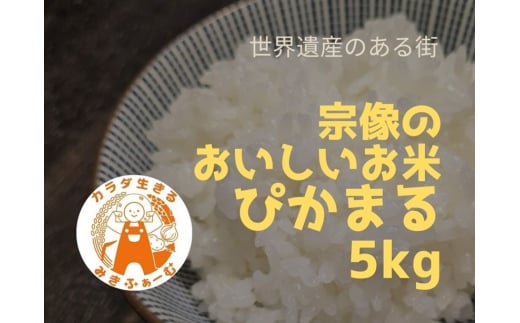 むなかた産 米 ぴかまる 5kg【みきふぁーむ】_HA1543