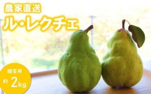 KL03 洋梨 ル・レクチェ（大玉）約2kg 贈答／2026年11月下旬頃から配送//長野県 松川町 梨 洋梨 洋ナシ ルレクチェ 産地直送 農家直送 農家支援 果物 フルーツ 贈答 ギフト