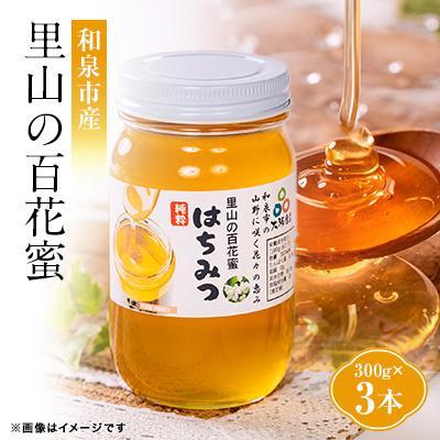 ふるさと納税 和泉市 道の駅で大人気のハチミツ(300g瓶詰×3本)