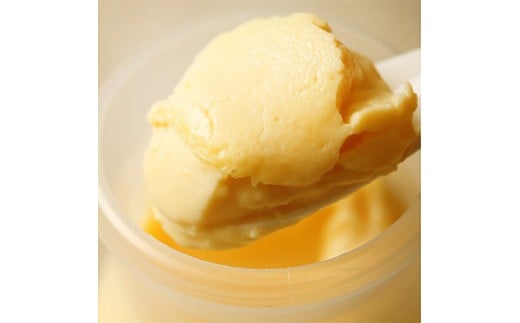 【昭和39年創業】こがね町プリン16個セット 北海道 滝川市 