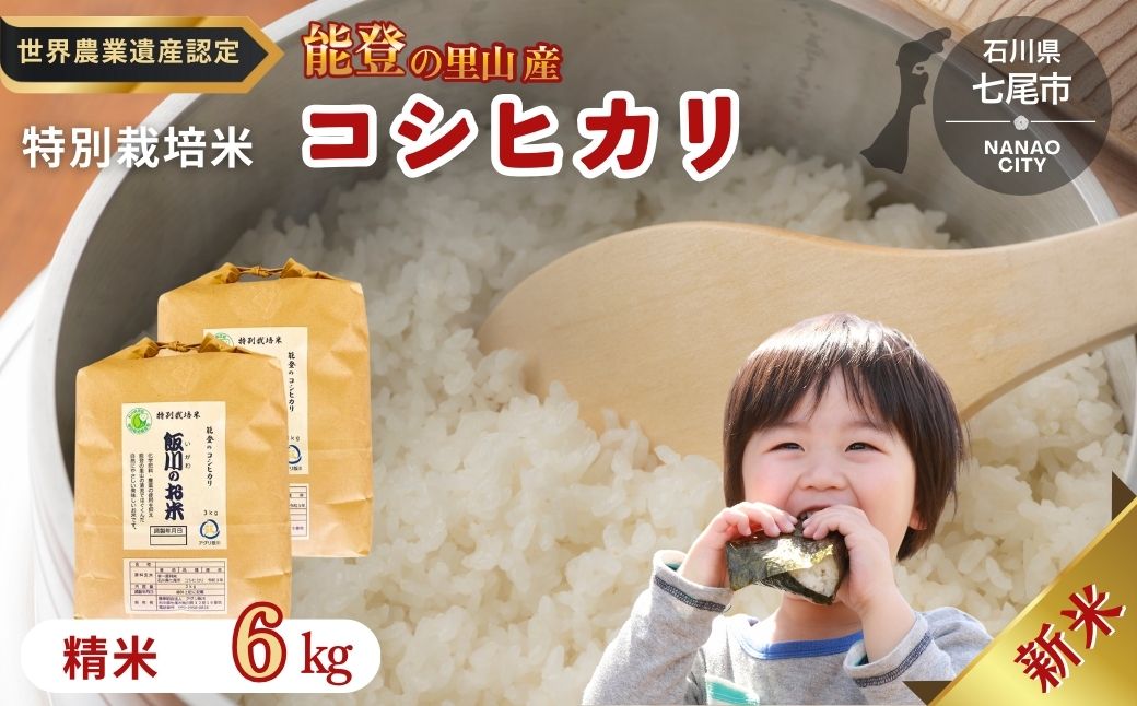 【能登半島地震復興支援】米 /能登のコシヒカリ　飯川のお米　6kg（精米3kg×2袋）特別栽培米 石川県 七尾市 能登 ※2024年10月中旬～2025年3月下旬頃に順次発送予定