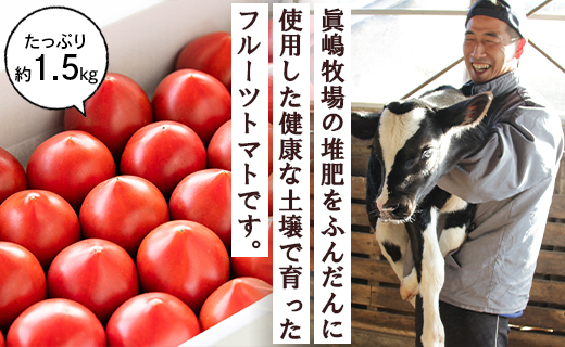 【先行受付】うしの恵 フルーツトマト 化粧箱入り 約1.5kg - 野菜 とまと 産地直送 2026年発送 令和8年 料理 アレンジ サラダ 鍋 サンドイッチ 完熟 甘い あまい フレッシュ さっぱり