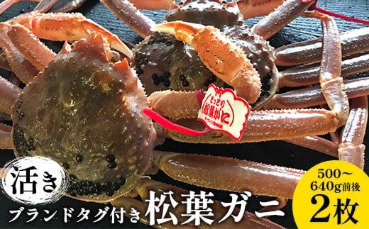 106.【活き】ブランドタグ付き松葉ガニ 500～640g前後　2枚◇ ≪かに カニ 蟹 ズワイガニ≫　※2025年11月上旬～2026年3月上旬頃に順次発送予定