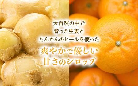 屋久島ジンジャーシロップ大(200ml)×3本セット