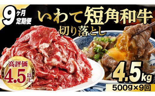 ＼9ヶ月連続 定期便／ 切り落とし 赤身 肉 牛肉 いわて 短角和牛 500g (総計 4.5kg) 小分けパック 真空冷凍 | 牛肉 肉 赤身 短角 和牛 国産牛 ブランド牛 切り落し 大容量 牛丼 肉じゃが 煮込み 煮物 小分け 真空パック 数量限定 (AB118)