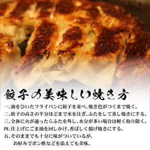 餃子  四万十ポーク手作り餃子 40個  餃子 ぎょうざ ギョウザ _yj067