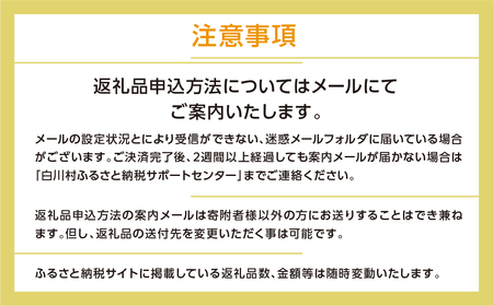 ＼あとから選べる ／オンライン カタログ あとからチョイス 6万円 カタログ [S617]