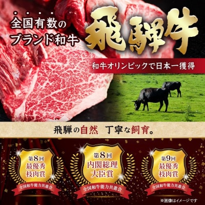 飛騨牛 厳選牛すね肉(スネ肉) 角切り 3kg(500g×6) 訳あり【配送不可地域：離島】