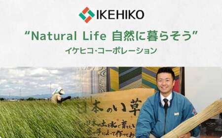 ウィルトンカーペット ネム 160×230ｃｍ ＢＫAA446