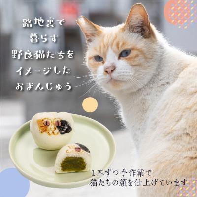 ふるさと納税 高山市 招福猫子まんじゅう5個入　TR4189 |  | 03