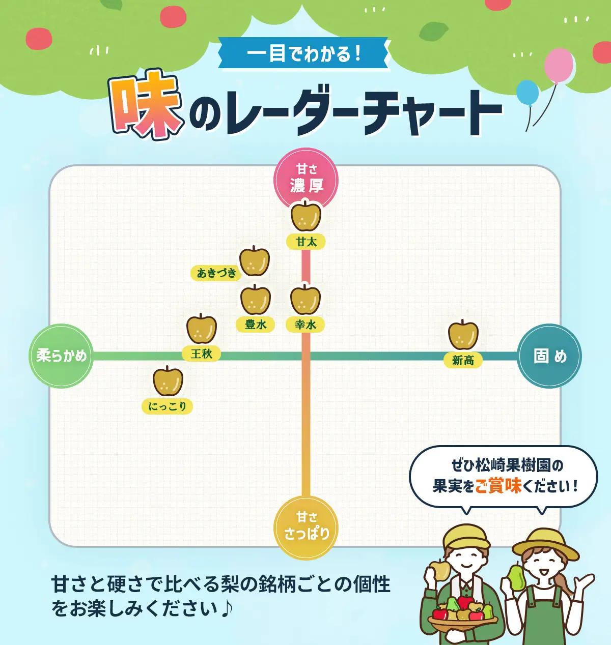 【2026年発送】【松崎果樹園】梨「幸水」約5kg（10～12玉入） ｜ 梨