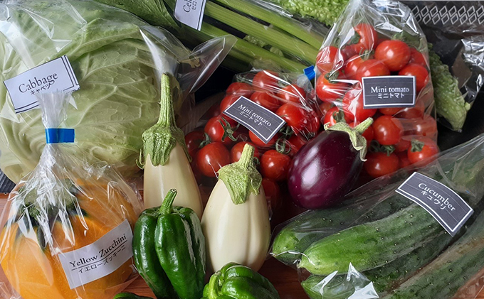 【2024年8月上旬頃から発送】農家直送！ミニトマト500g入り！朝採れ新鮮夏野菜ボックスL（7～9品入り）