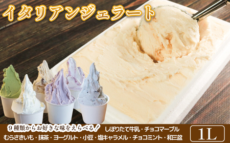 ジェラート イタリアンジェラート 1000ml 1L 選べるフレーバー 1種