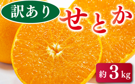 【せとか】 先行予約 訳あり せとか 3kg みかん 蜜柑