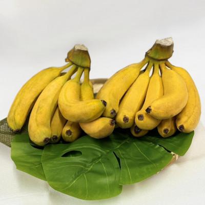 ふるさと納税 郡上市 国産バナナ やまと　約160g×3本 |  | 02