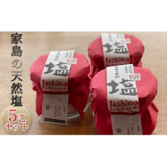 【ふるさと納税】家島の天然塩5こセット 調味料 海塩