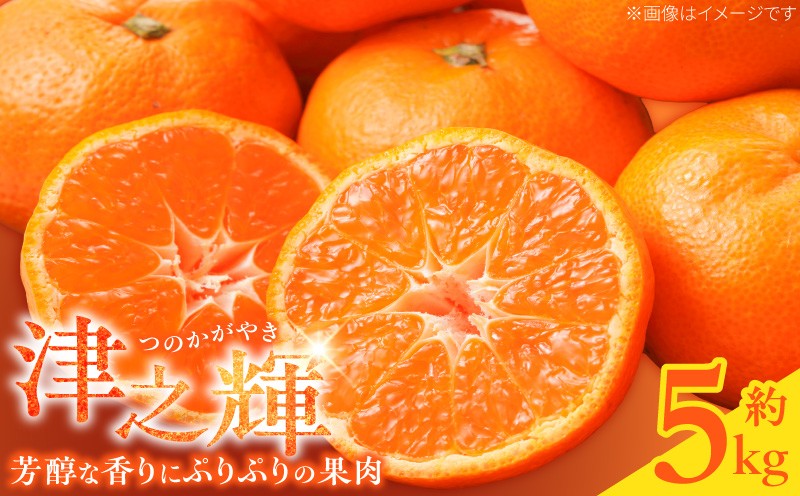 
                  G7057_【2027年先行予約】和歌山産 津之輝 (つのかがやき) 約5kg【ミカン 蜜柑 春みかん 柑橘 和歌山 有田】
                