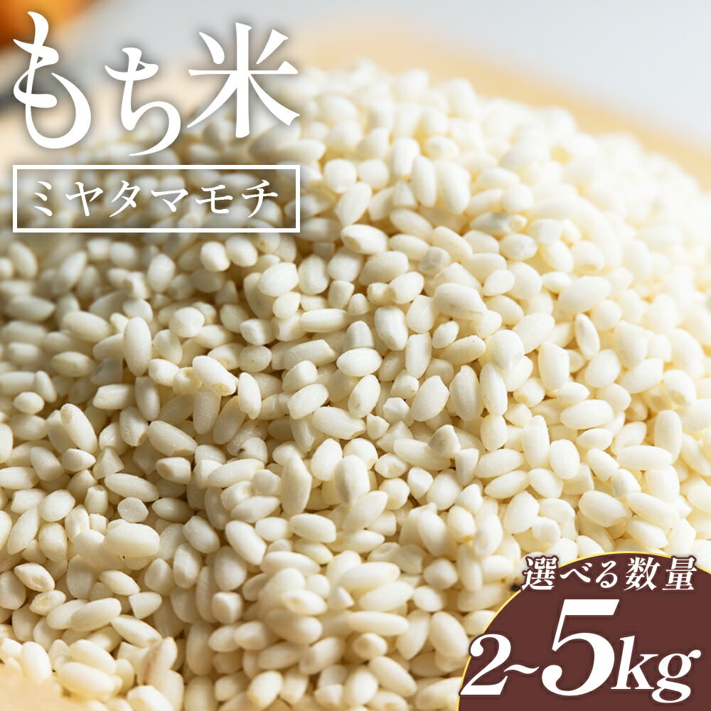 【ふるさと納税】【選べる内容量】もち米（約2kg / 4kg / 5kg）ミヤタマモチ - 選べる 数量 国産 餅米 モチ おもち おこわ おはぎ ぼたもち お雑煮 赤飯 米 お米 アレンジ 調理 アスタ農園 高知県 香南市【常温】
