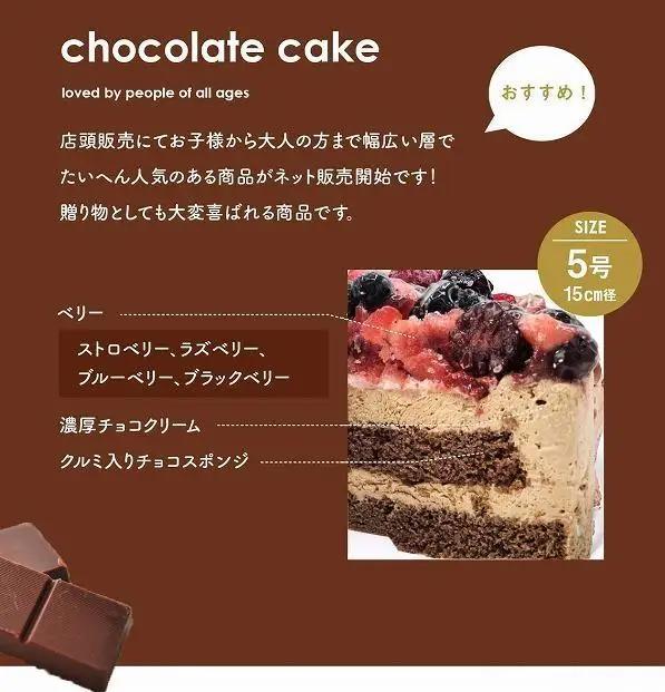 【福岡市】ベリーの濃厚チョコケーキ 5号 15cm径 ストロベリーフィールズ | 菓子 おかし 食品 人気 おすすめ 送料無料